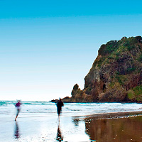 Best of Both Worlds: Auckland Highlights Tour with Wilderness Experience Eco-Tour