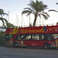 Hop-On, Hop-Off Tour of Palma de Mallorca