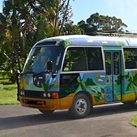Shared Shuttle Mauritius MTU Airport Transfer