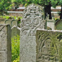 Guided Jewish Heritage Tour with admission fees & hotel pick-up