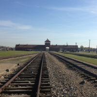 Guided Tour of Auschwitz-Birkenau Concentration Camp Memorial