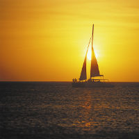 Palm Pleasure Sunset Sail