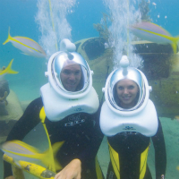 De Palm Island Full Day Tour