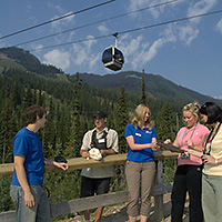 Grizzly Bear Excursion