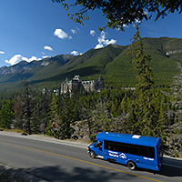 Discover Banff and Wildlife Tour