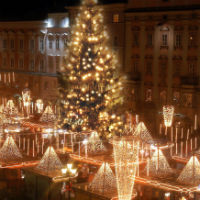 Christmas Market Walking Tour with Wine Tasting