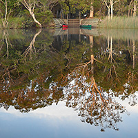 Noosa River Everglades Barbecue Lunch Cruise with Optional Canoeing