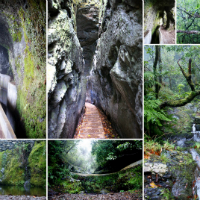 Levada Hikes