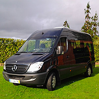 Shared Shuttle Ponta Delgada Airport Transfer
