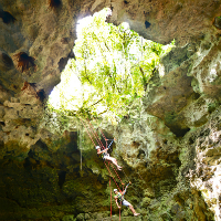 Xenotes Oasis Maya Admission with Transfers from Cancun