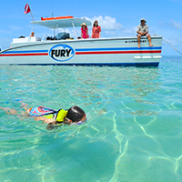 Dolphin Watch and Snorkeling