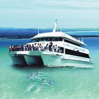 Port Stephens & Dolphins Experience with Optional Lunch