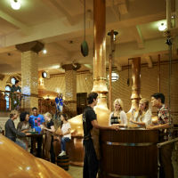 Special Saver: Amsterdam Pizza Cruise & Heineken Experience