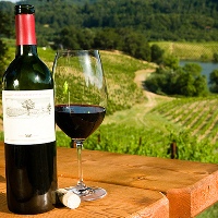 Hunter Valley Winery Tour