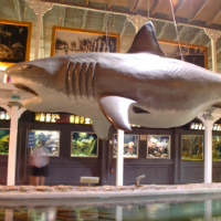 Key West Aquarium