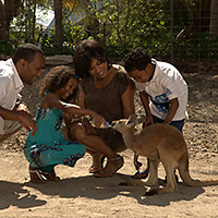 Lemur Experience at Jungle Island