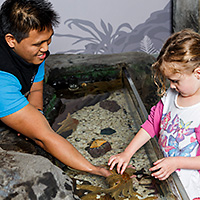 Kelly Tarlton's Sea Life Aquarium
