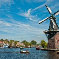 Behind-The-Scenes Keukenhof Gardens with Lunch & Haarlem Walking Tour