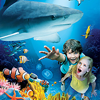 LEGOLAND California Theme Park + Waterpark + SEA LIFE Aquarium