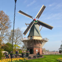 Flowerfields & Keukenhof Gardens Tour