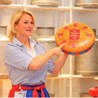 Alkmaar, Cheese Market, and Windmills Tour