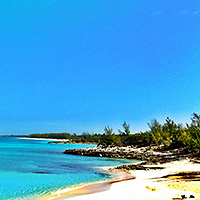 Sandy Toes Half-Day or Full-Day Excursions