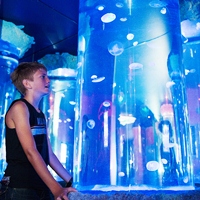 Admission to SEA LIFE Mooloolaba
