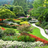 Royal Victoria and Butchart Gardens Excursion