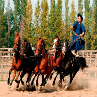 Great Plains Countryside Tour with Horse Show, Lunch & Drinks