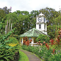 Suva Full-Day Sightseeing Tour