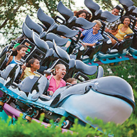 Two-Park Ticket to SeaWorld Orlando and Busch Gardens Tampa