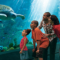 SeaWorld Orlando and Aquatica Combo Ticket