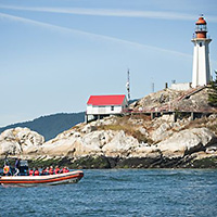 Sea Safari Eco-Tour