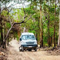 Lamington National Park, Mt Tamborine & O'Reilly's 4WD Tour