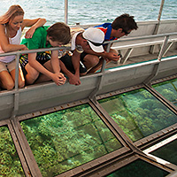 Seawalker Dive