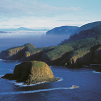 Full-Day Bruny Island Adventure with Cruise