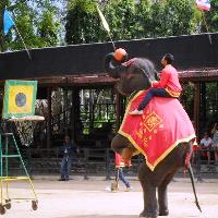 Nong Nooch Village Half Day Tour