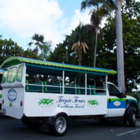 Shared Transportation: St. Thomas Cyril E. King Airport via Shuttle