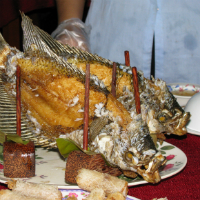 Small-Group Mekong Discovery Tour