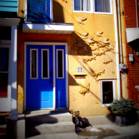 Small-Group Tour: Multicultural Kensington Market and Chinatown