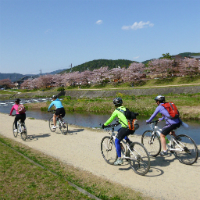 Small-Group Kyoto Cycling Tour