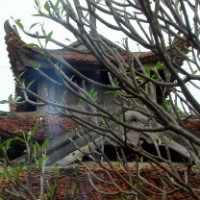 Small-Group Tour: Villages and Pagodas - Village Discovery