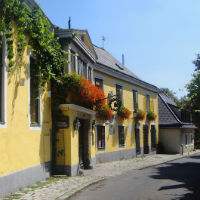 Panoramic City Tour & Cruise on the Danube River