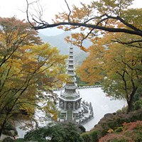 Full-Day Hiking and Sauna Tour