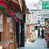Lotte World, River Cruise, and Seoul Tower Full-Day Tour