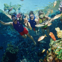 Walt Disney World® Magic Your Way® Ticket with Park Hopper® and Water Park Fun & More Options