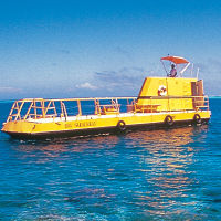 South Sea Island Finding Nemo Cruise