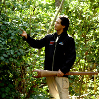 Tamaki Hikoi Cultural Walking Tour