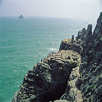 Busan Day Tour with KTX