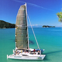 Full-Day Abel Tasman Cruise and Nature Walk